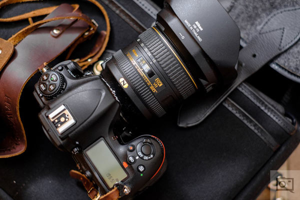 Nikon D500 در عکاسی حیات وحش
