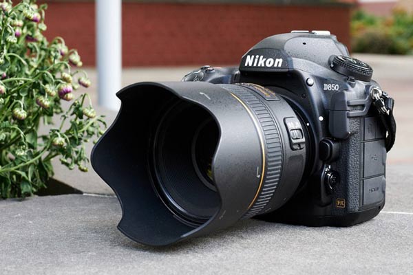 دوربین های نیکون و کانن فول فریم مناسب برای عکاسی حیات وحش