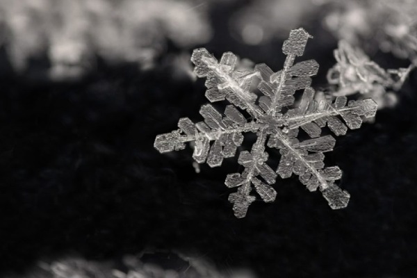 نحوه عکاسی از دانه های برف