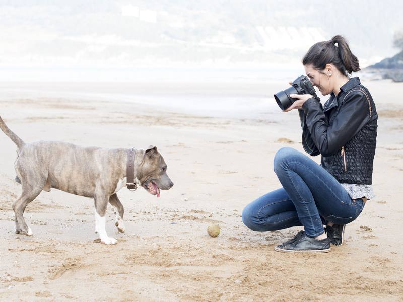 تجهیزات مناسب عکاسی از حیوانات خانگی