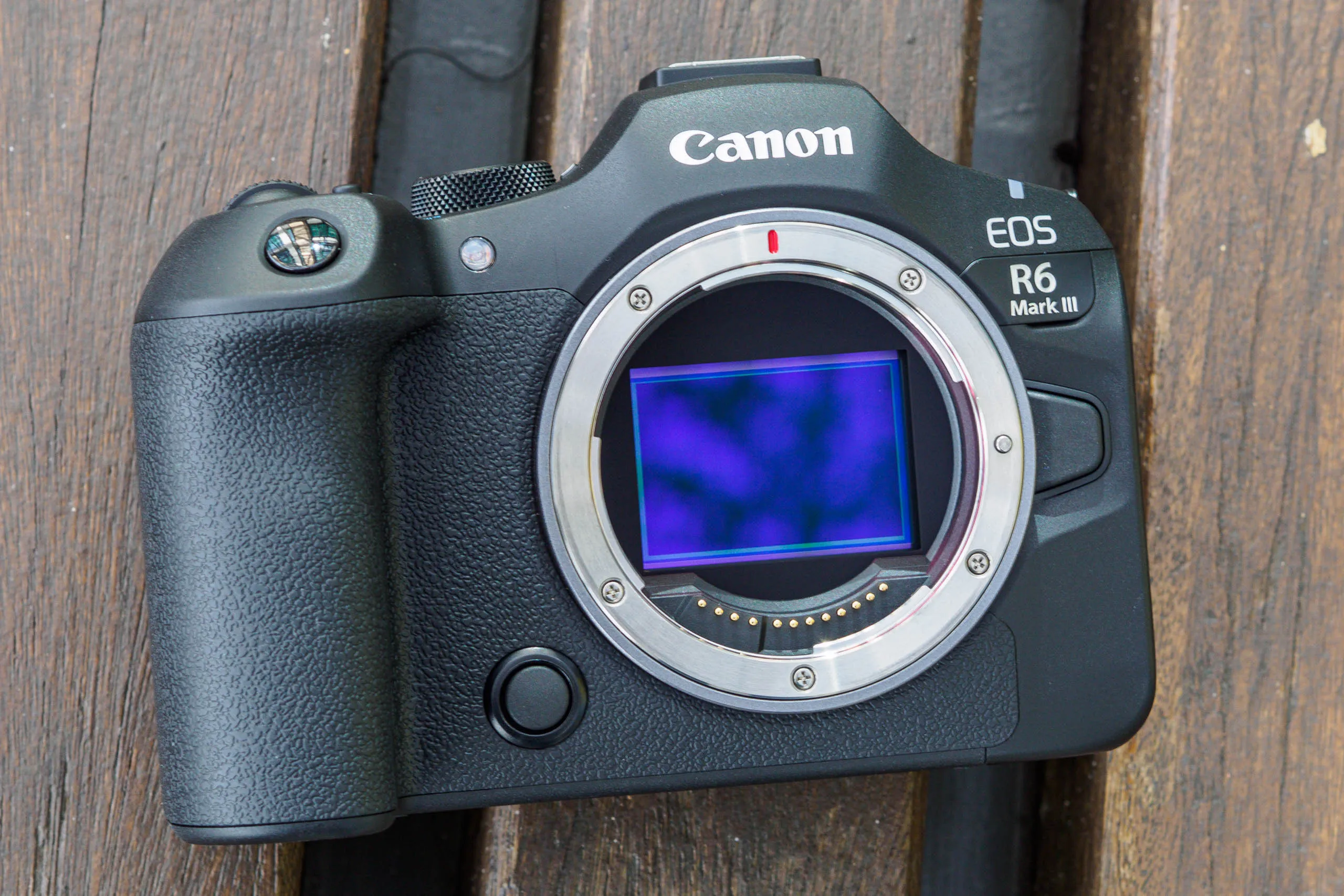 دوربین کانن Canon EOS R6 Mark III Mirrorless Camera