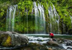 عکاسی در طبیعت