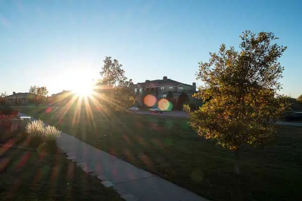 پدیده فلیر لنز دوربین عکاسی