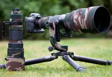 بهترین لنز برای عکاسی طبیعت