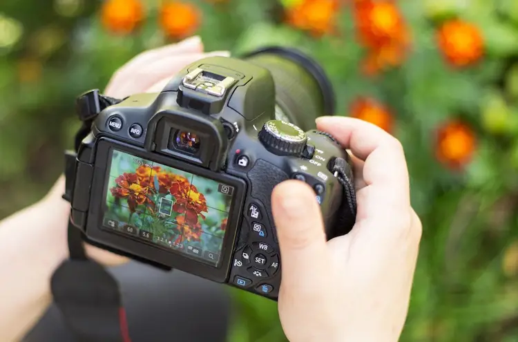 بهترین تکنیک های فوکوس دوربین عکاسی