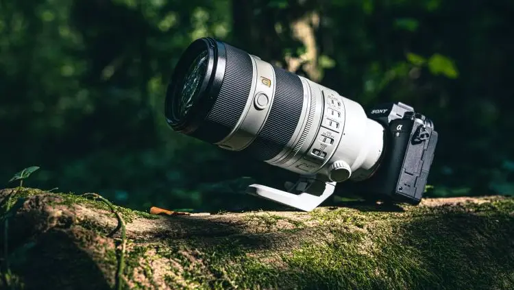 دوربین برای عکاسی حیات وحش