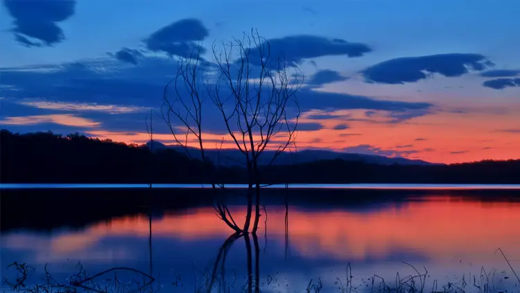 عکاسی در ساعت آبی