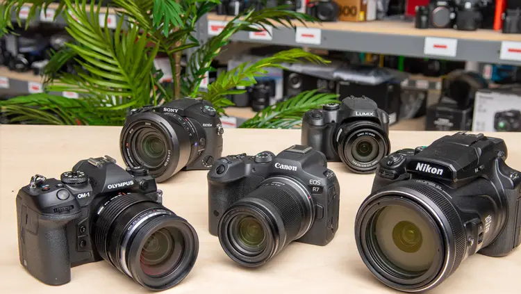 دوربین برای عکاسی حیات وحش