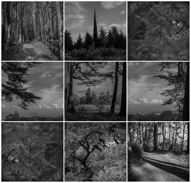 کلاژ در عکاسی