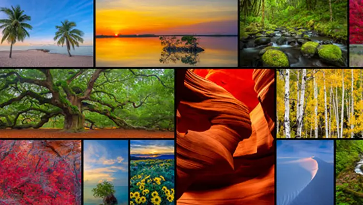 رنگ در عکاسی