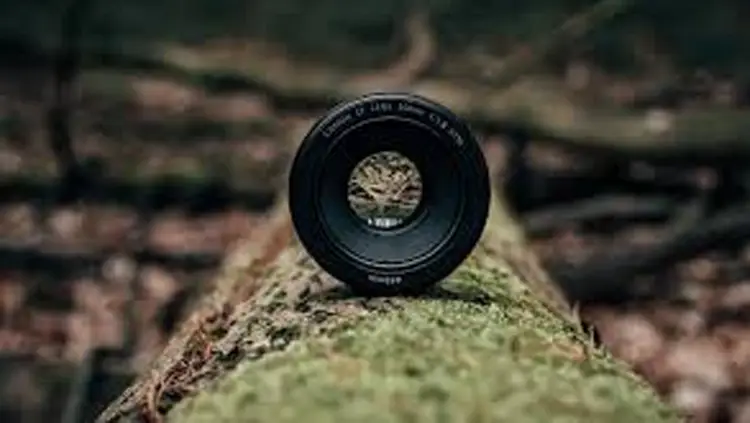 عمق میدان در عکاسی