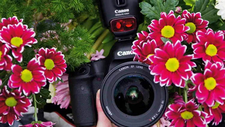 عکاسی از گیاهان