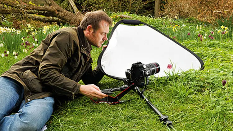 عکاسی از گیاهان