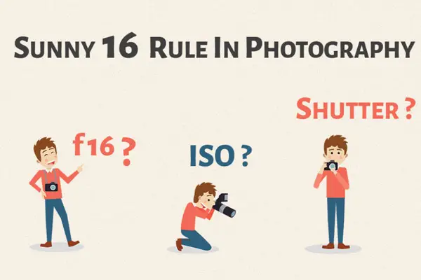 همه چیز در مورد قانون 16 آفتابی