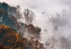 آموزش عکاسی در مه