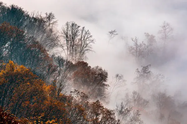 آموزش عکاسی در مه