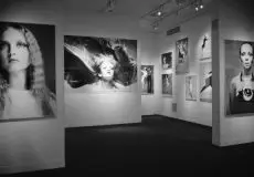 کپی برداری در عکاسی