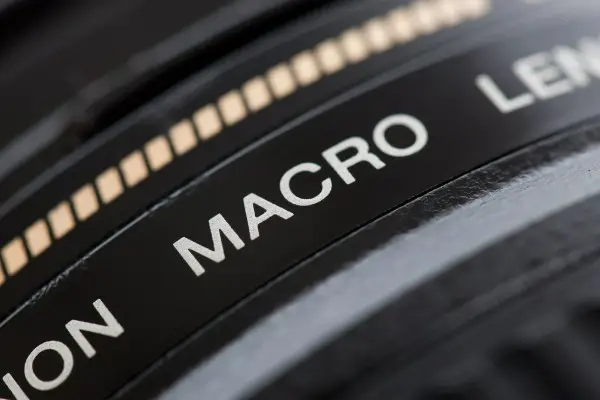 بزرگنمایی در عکاسی