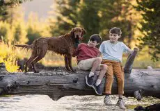 ژست عکاسی در طبیعت