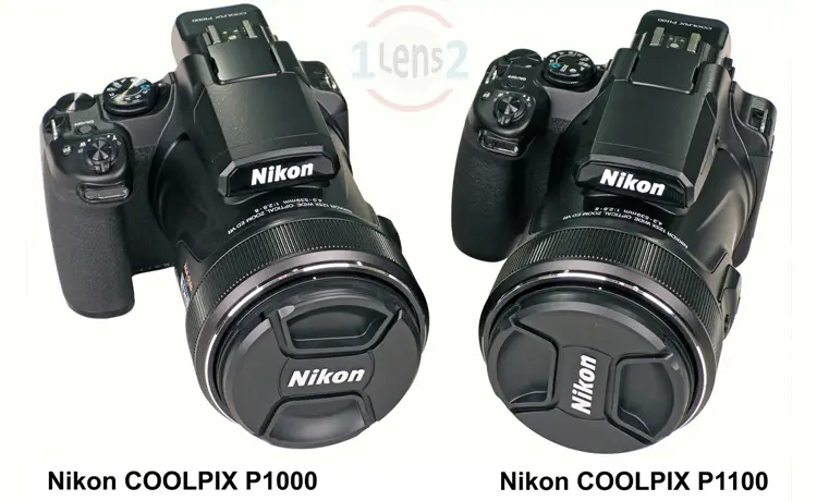 مقایسه nikon p1100 با p1000