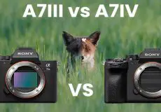 مقایسه Sony A7 IV با A7 III