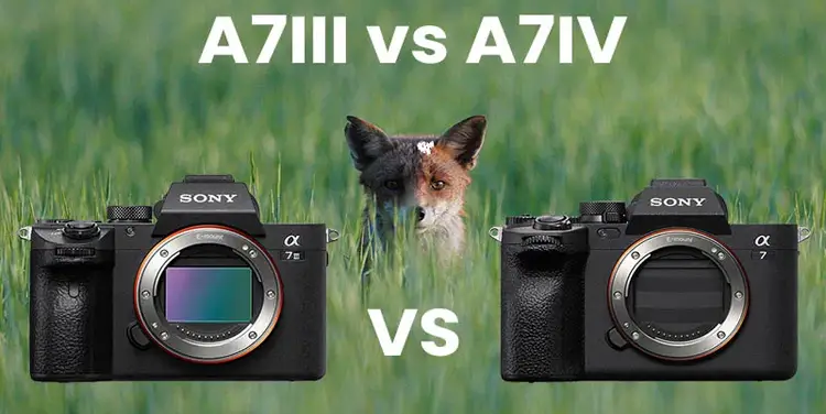مقایسه Sony A7 IV با A7 III