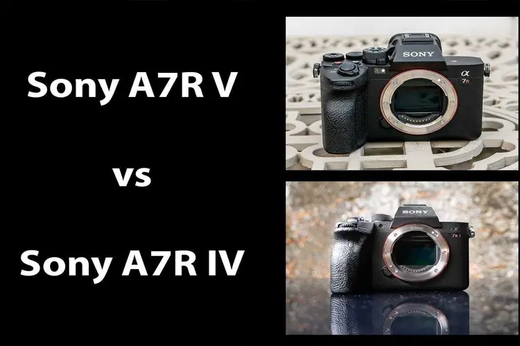 مقایسه a7r iv sony با a7r v