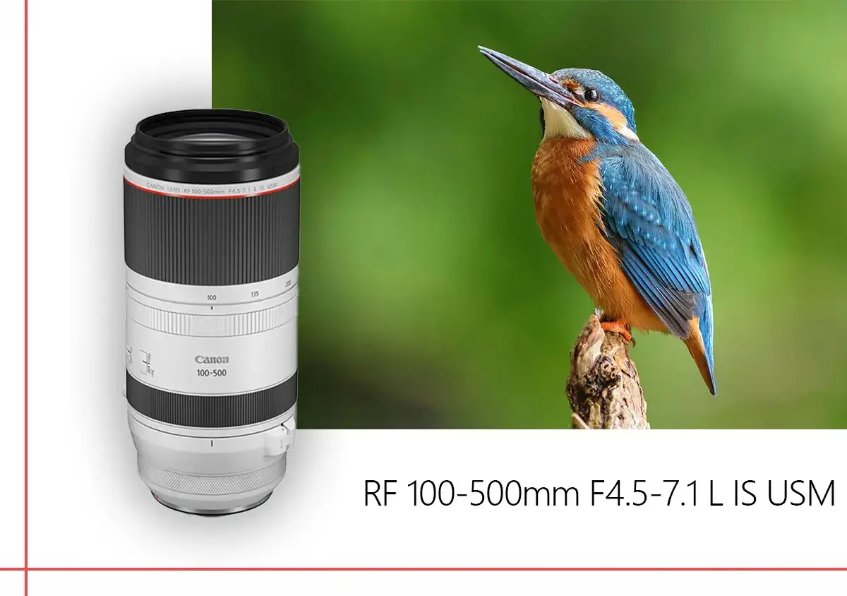 لنز کانن مدل Canon RF 100-500mm f4.5-7.1L IS USM Lens