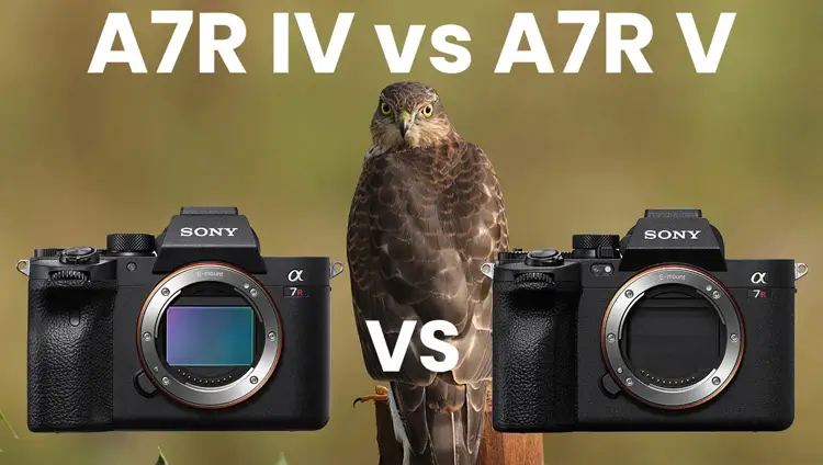 مقایسه دوربین بدون آینه سونی مدل Sony a7 IV با Sony a7 V