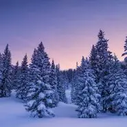 عکاسی در زمستان