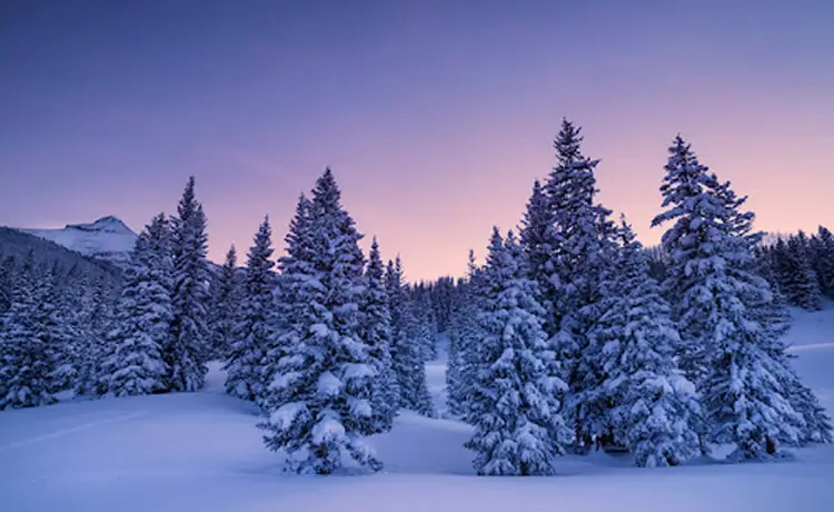 عکاسی در زمستان