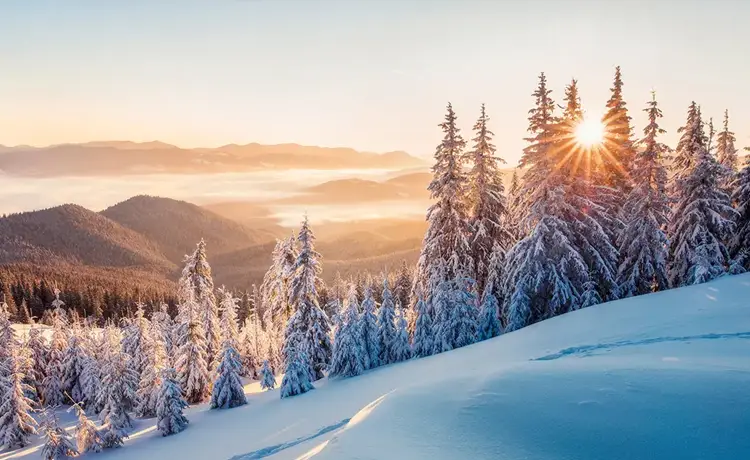 عکاسی در زمستان