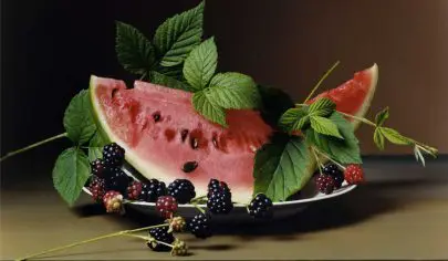 عکاسی طبیعت بی جان