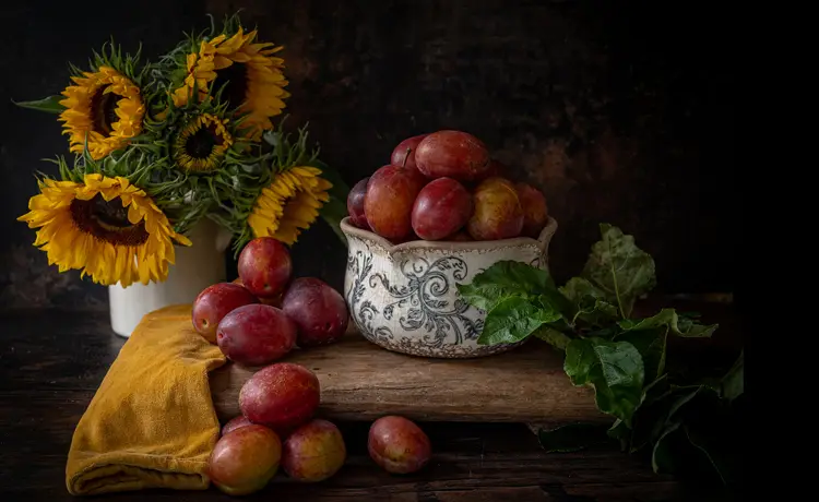 عکاسی طبیعت بی جان