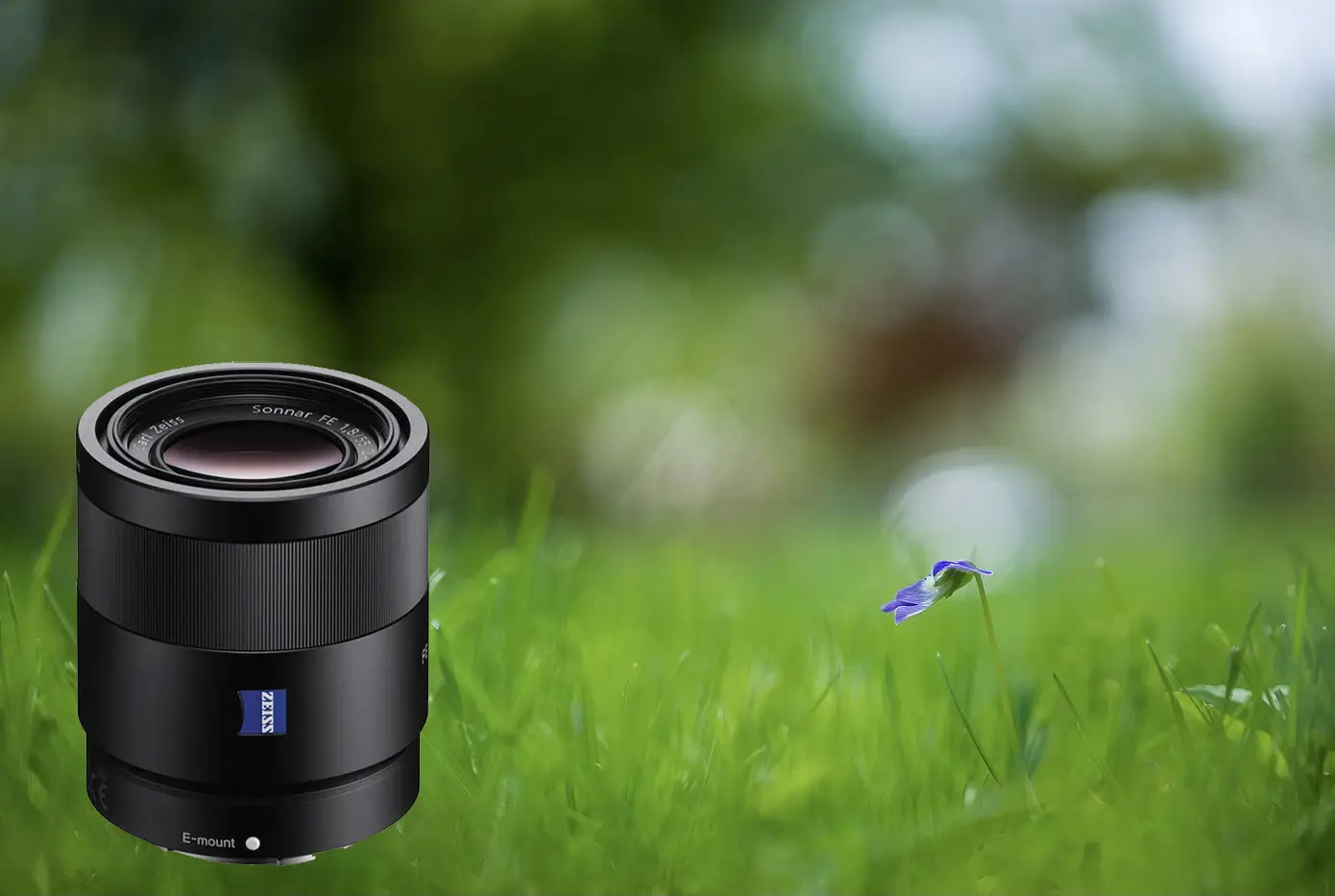 لنز سونی مدل Sony Sonnar T FE 55mm f1.8 ZA