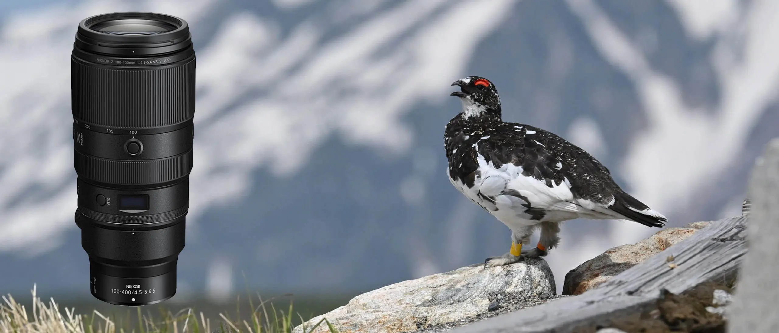 لنز نیکون مدل Nikon NIKKOR Z 100-400mm f4.5-5.6 VR S