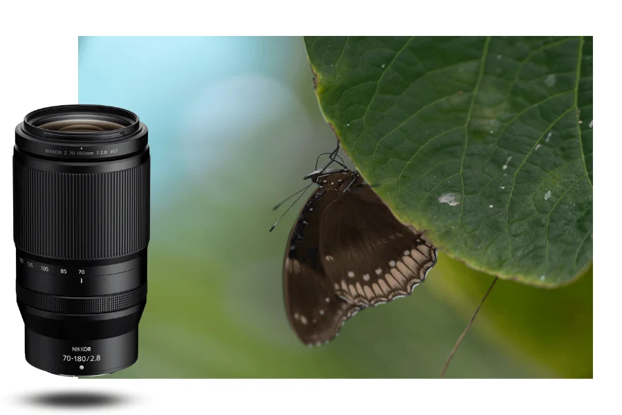 لنز نیکون Nikon NIKKOR Z 70-180mm f2.8 Lens