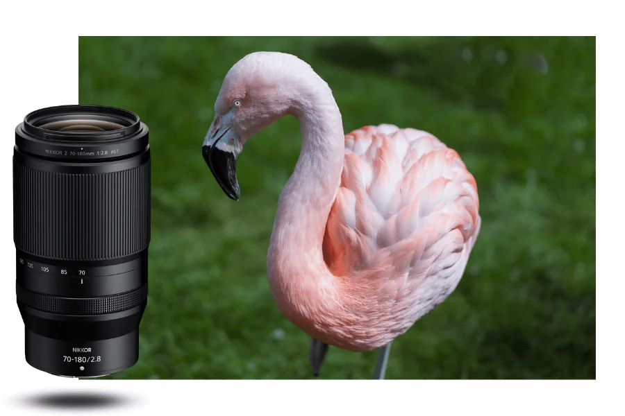 لنز نیکون Nikon NIKKOR Z 70-180mm f2.8 Lens