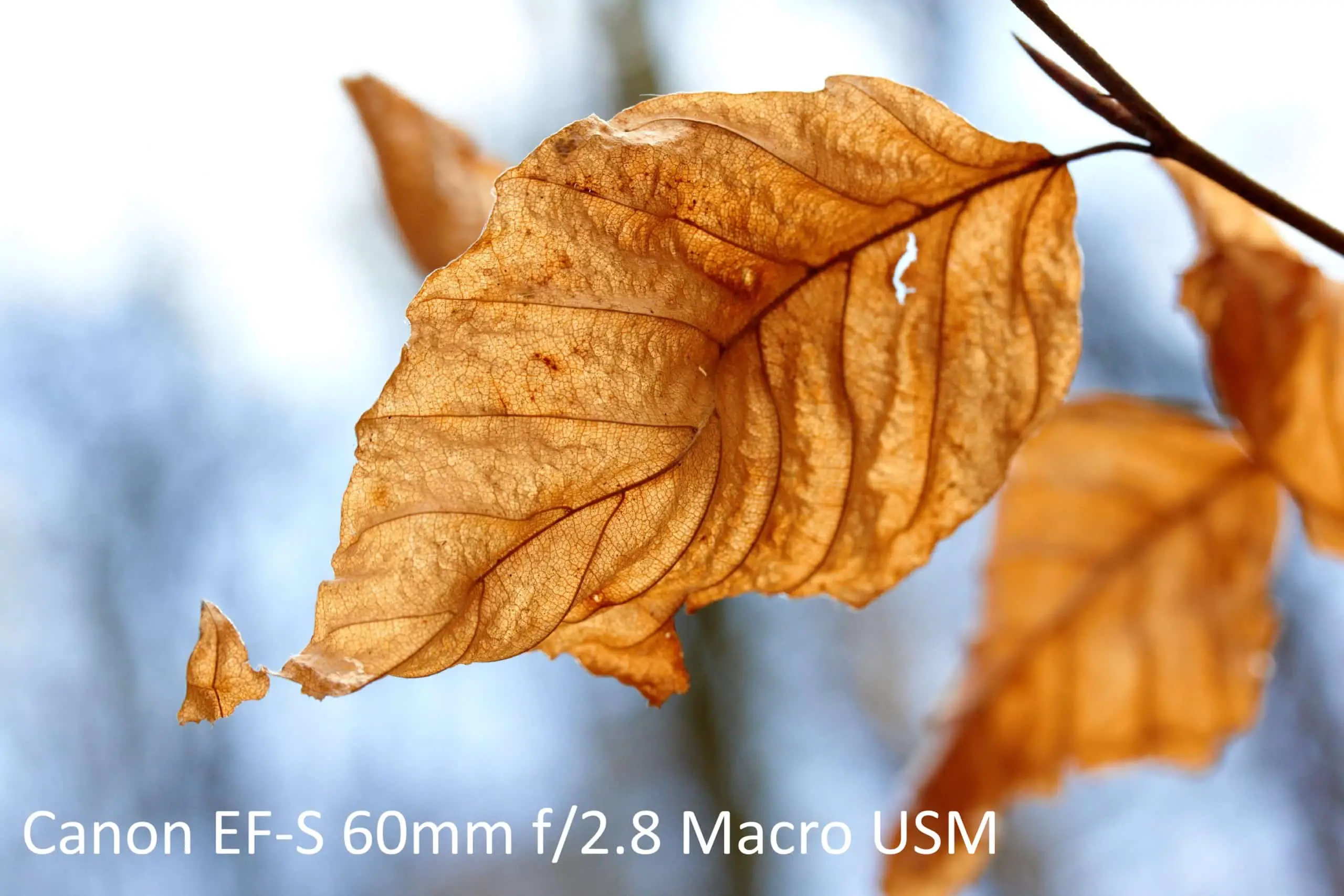 لنز کانن مدل Canon EF-S 60mm f2.8 Macro USM