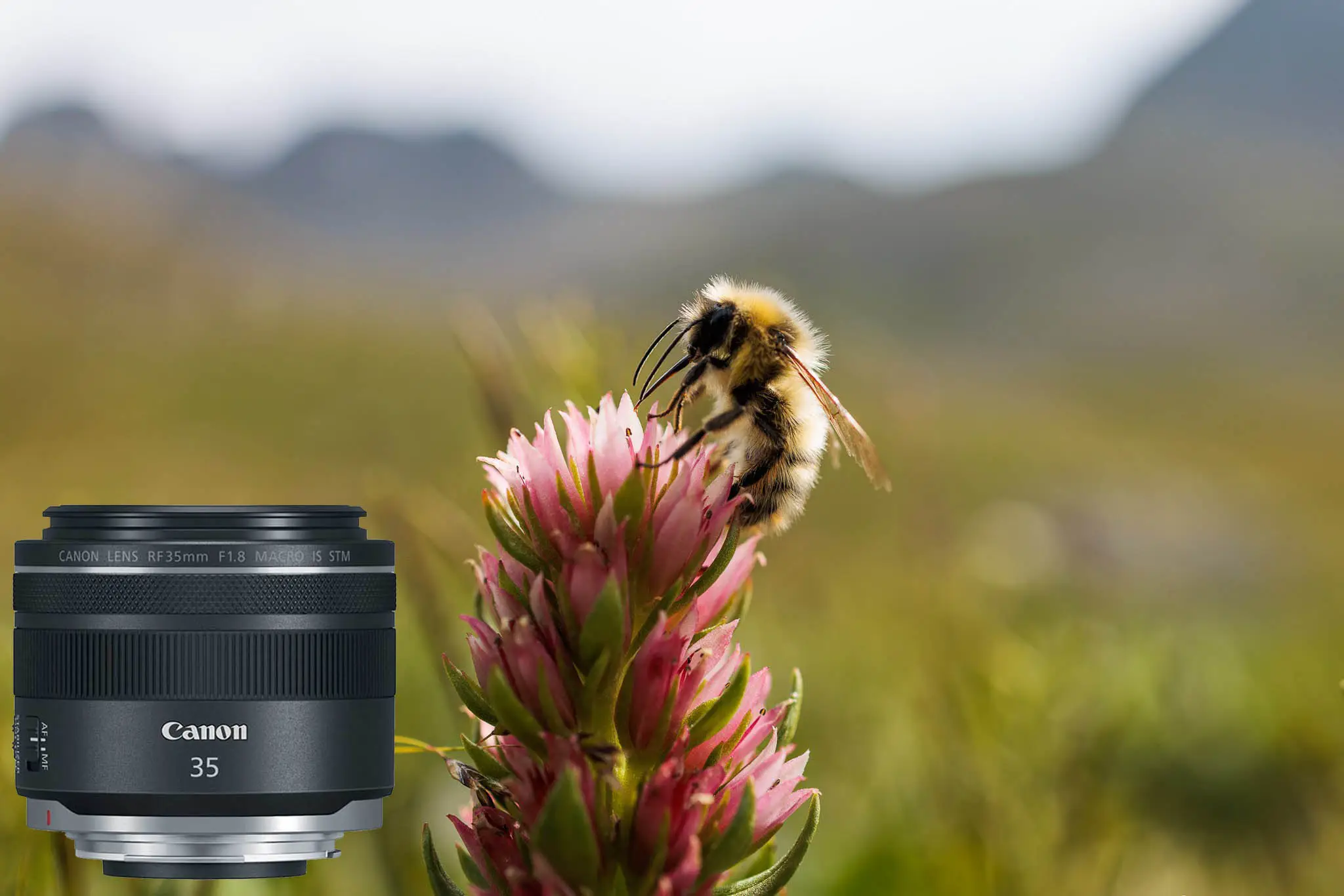 لنز کانن مدل Canon RF 35mm f/1.8 IS Macro STM